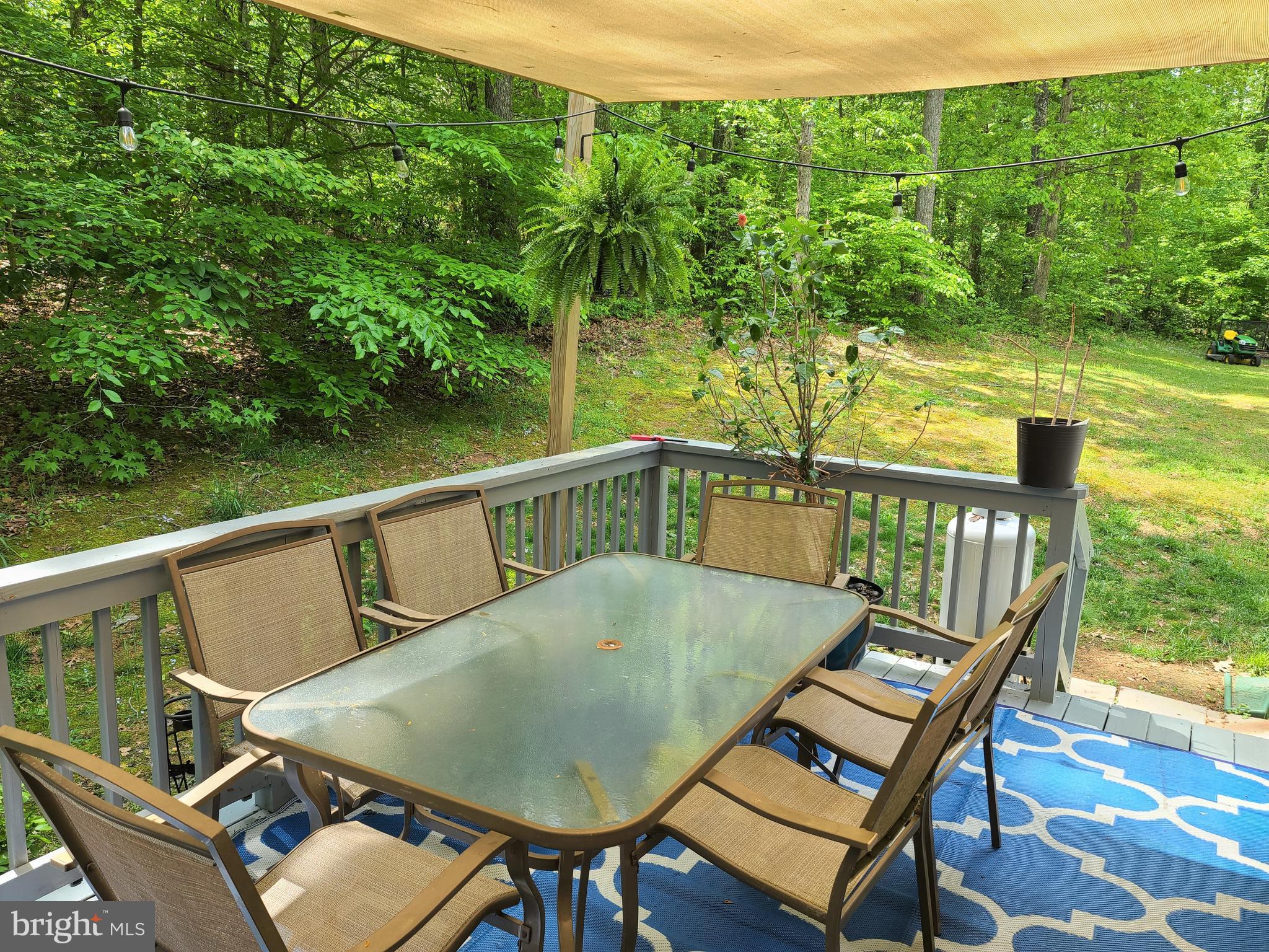 787 Reedy Creek Road Louisa, VA 23093 - Photo 27 of 29 Back Deck overlooking Side Yard