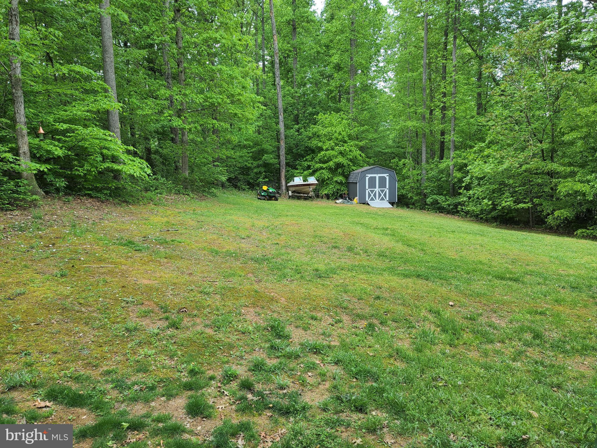 787 Reedy Creek Road Louisa, VA 23093 - Photo 28 of 29 Huge Side Yard w/Shed that conveys