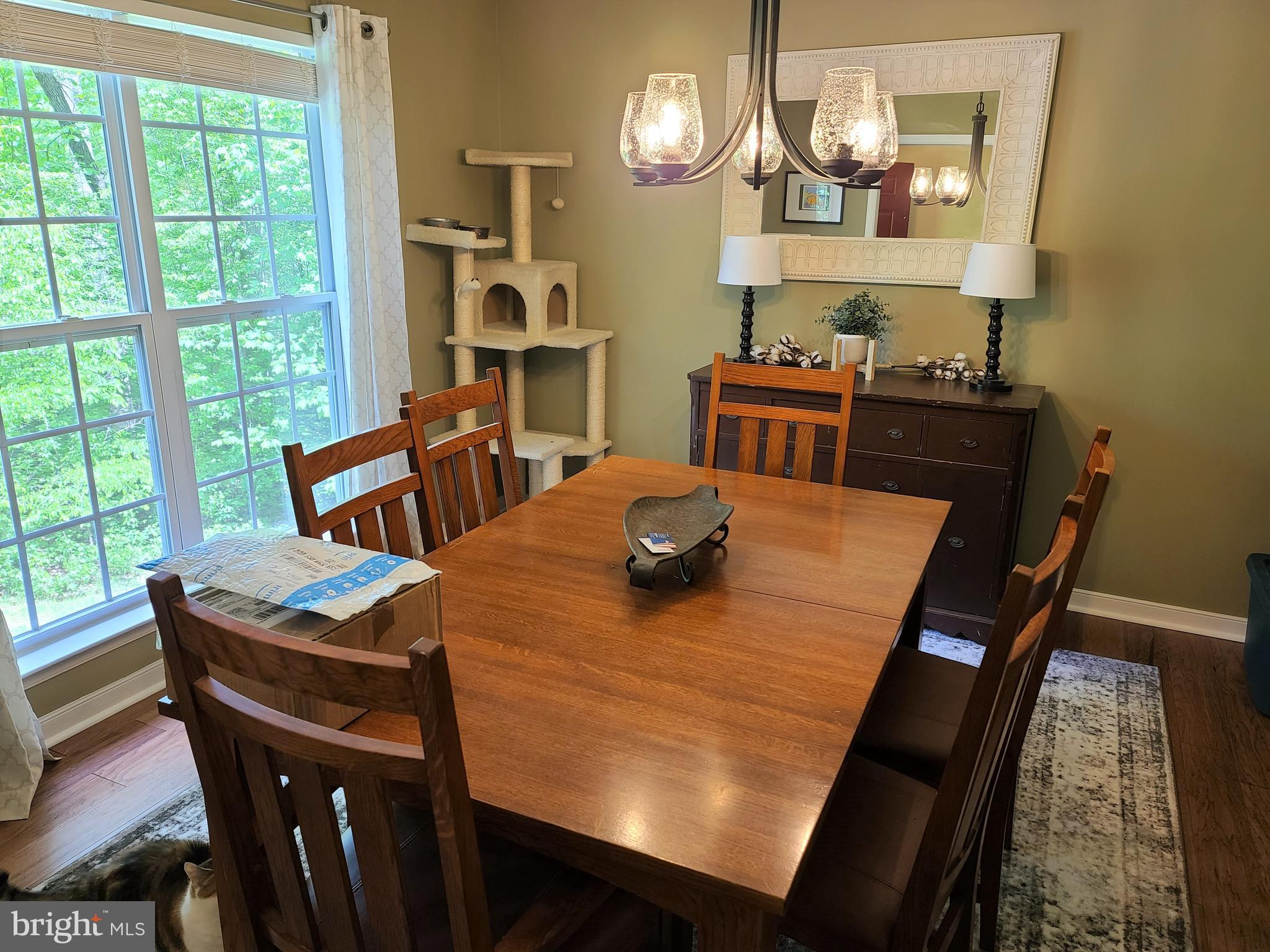 787 Reedy Creek Road Louisa, VA 23093 - Photo 6 of 29 Sunny Dining Room