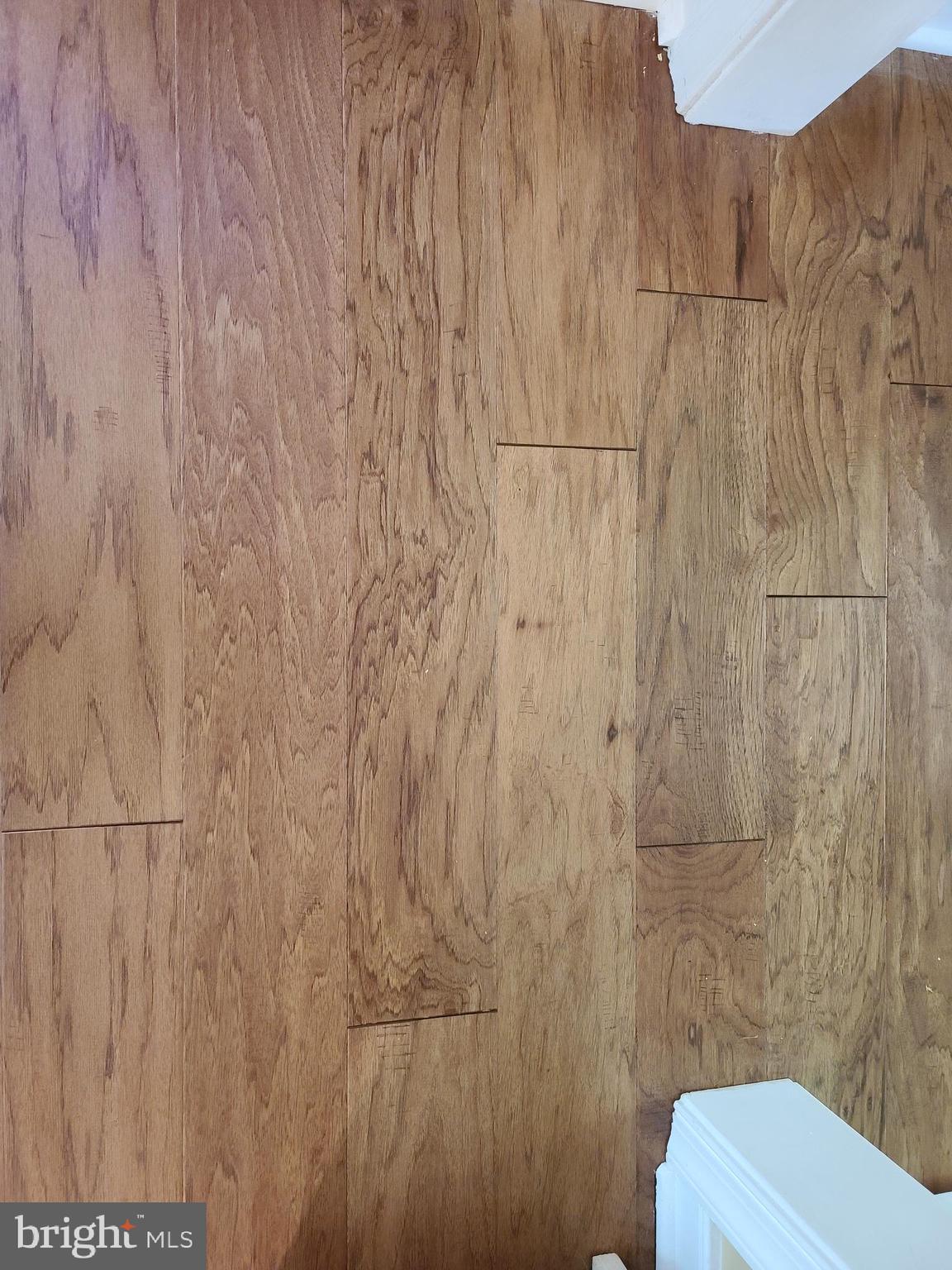 787 Reedy Creek Road Louisa, VA 23093 - Photo 7 of 29 New Flooring on Main