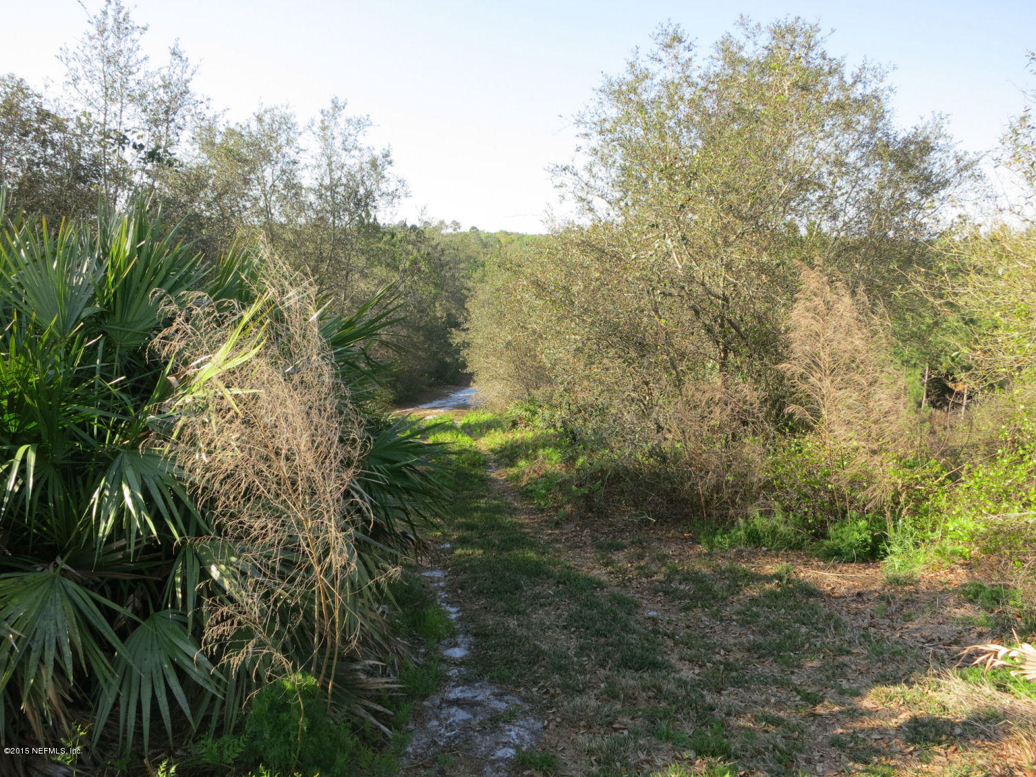0 Savel Road Melrose, FL 32666 - Photo 1 of 25 Facing down the hill