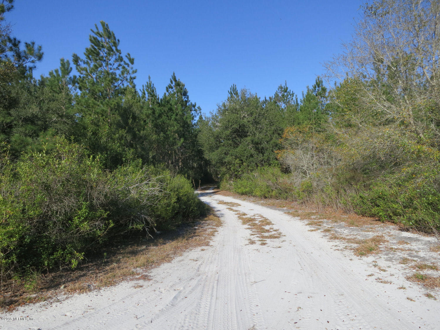 0 Savel Road Melrose, FL 32666 - Photo 13 of 25 Planted pine along the trail