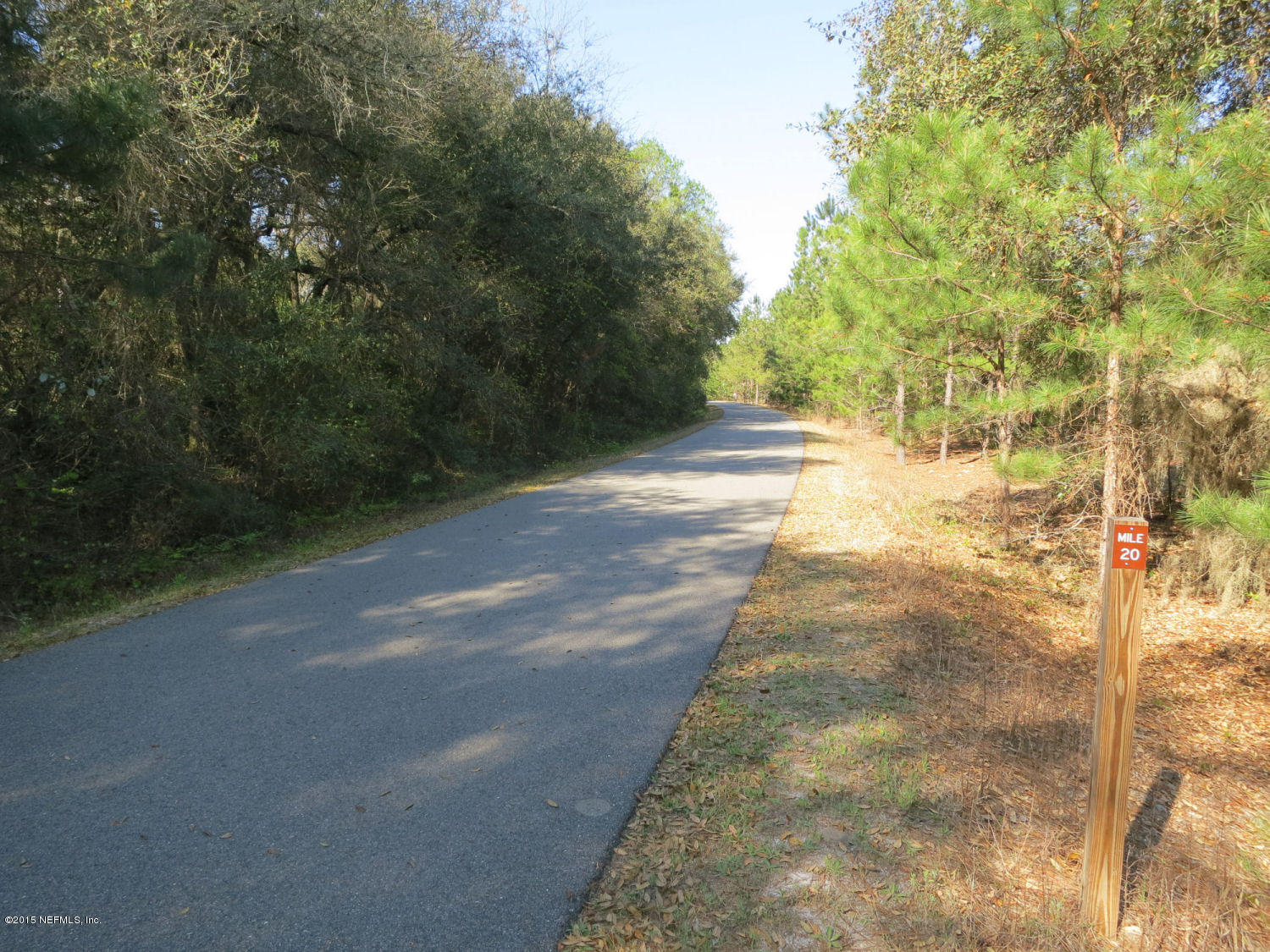 0 Savel Road Melrose, FL 32666 - Photo 16 of 25 Rails to Trails on S side
