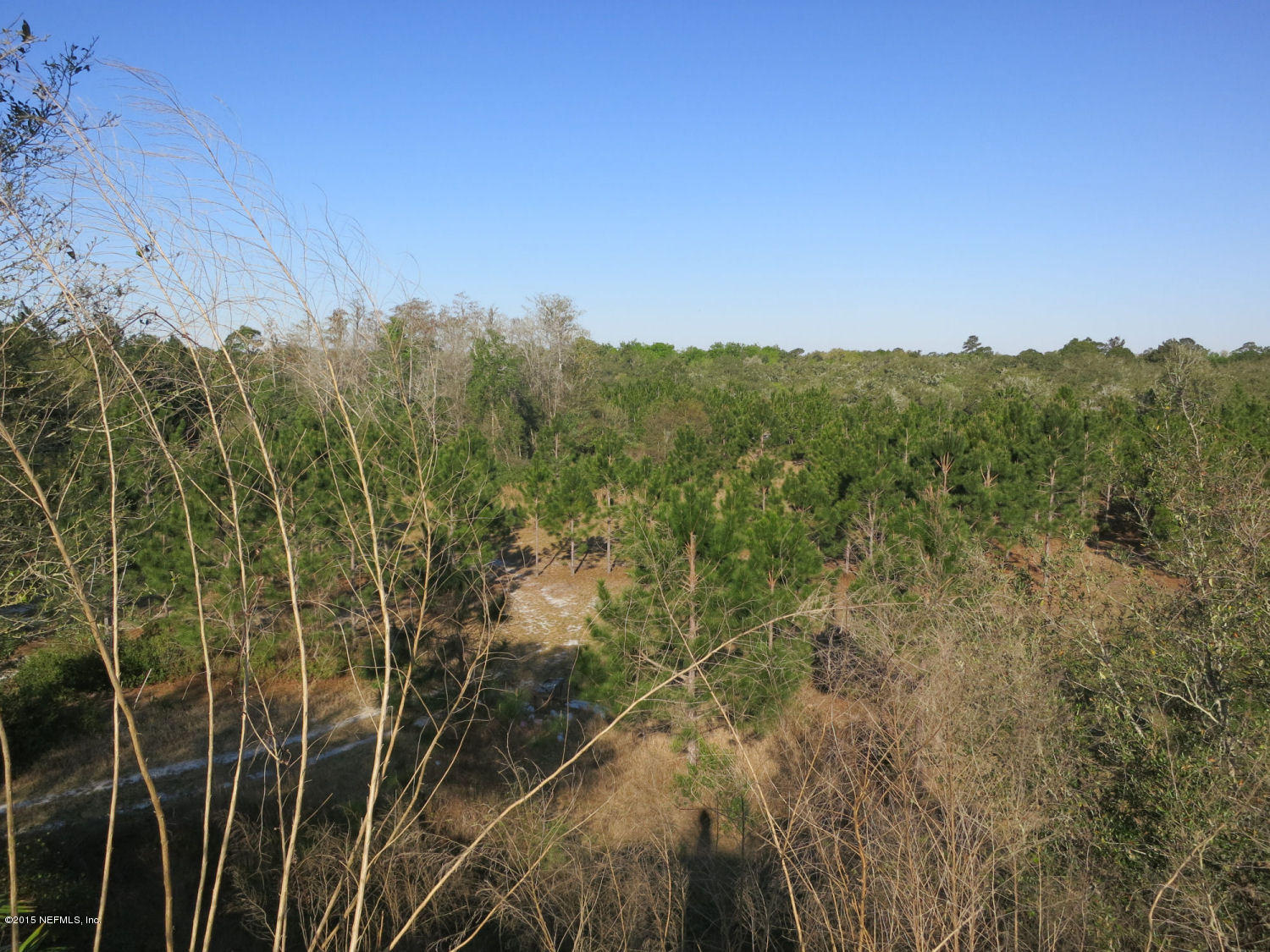 0 Savel Road Melrose, FL 32666 - Photo 24 of 25 View from the Hill
