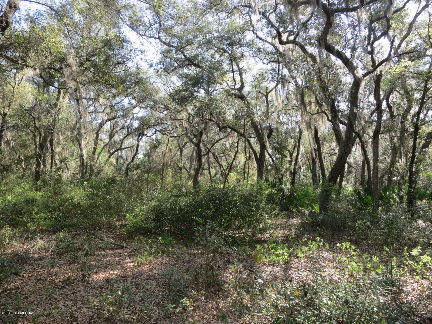 0 Savel Road Melrose, FL 32666 - Photo 3 of 25 Homesite