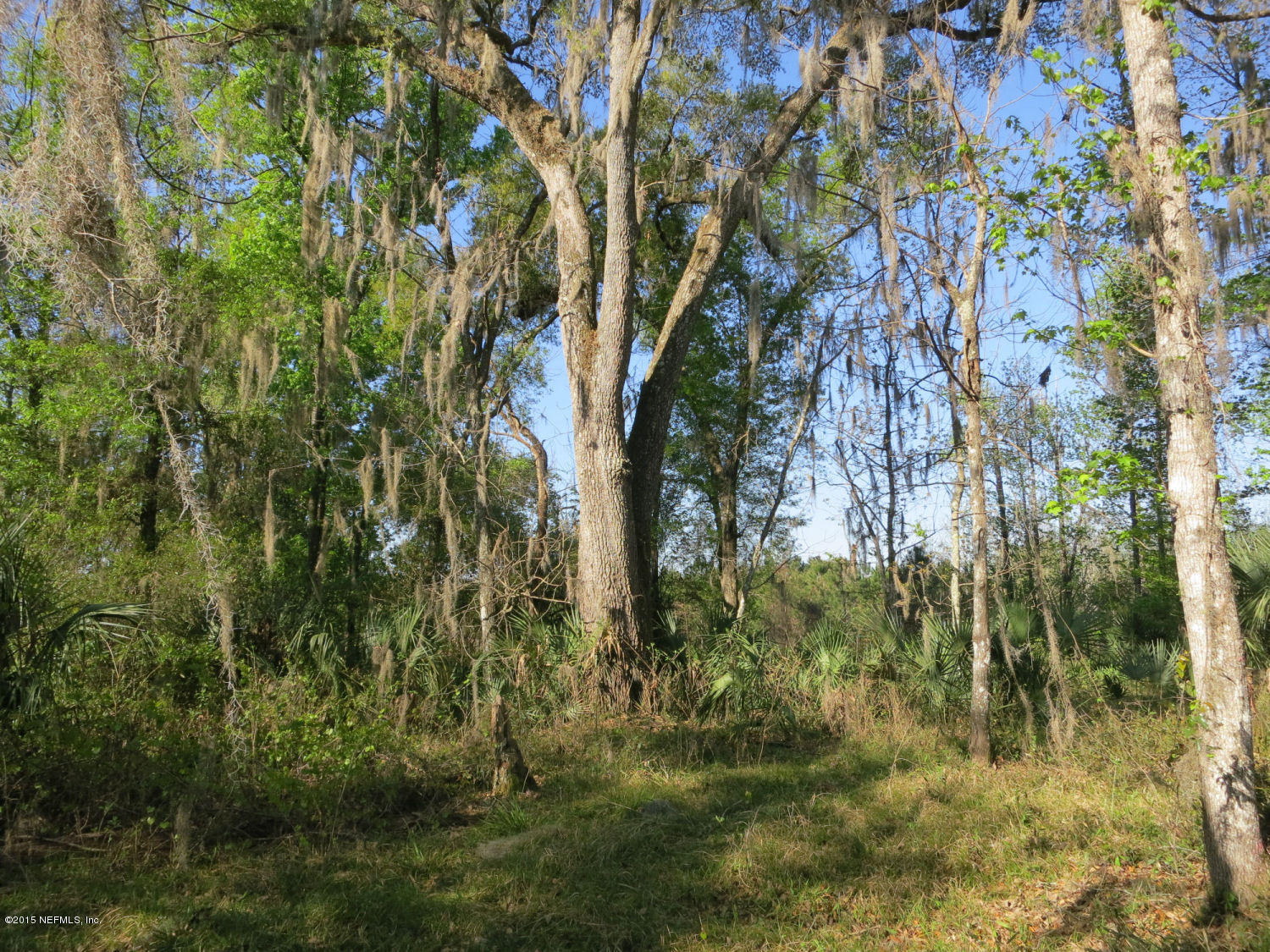 0 Savel Road Melrose, FL 32666 - Photo 6 of 25 NE side