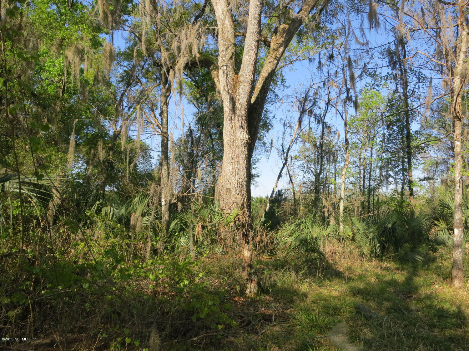0 Savel Road Melrose, FL 32666 - Photo 8 of 25 Nice Homesite on E side