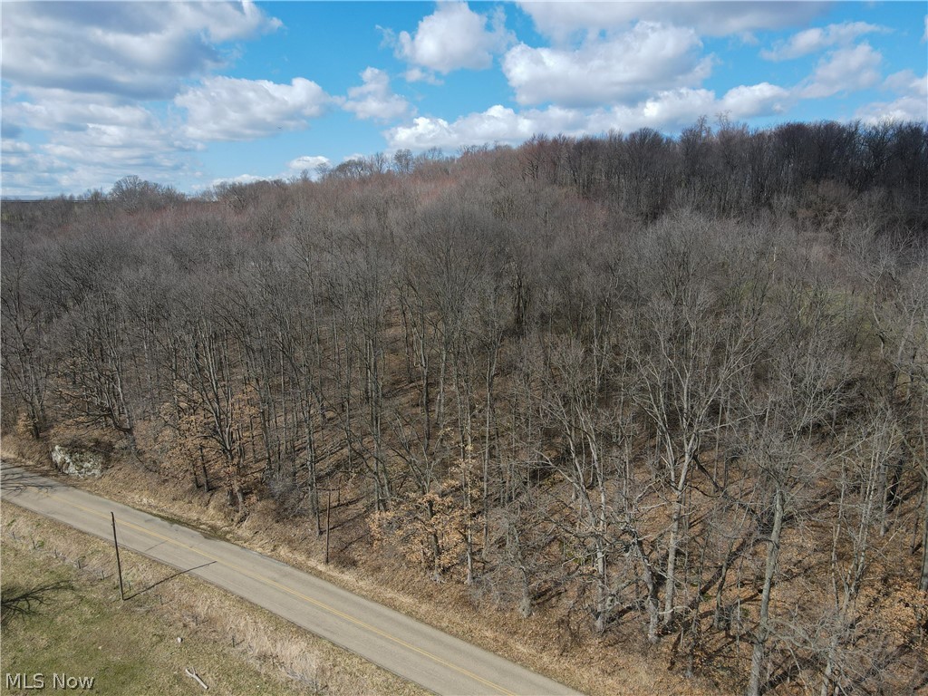 Walnut Creek Bottom Road Northwest Dundee, OH 44624 - Photo 5 of 21 Gallery Image 5