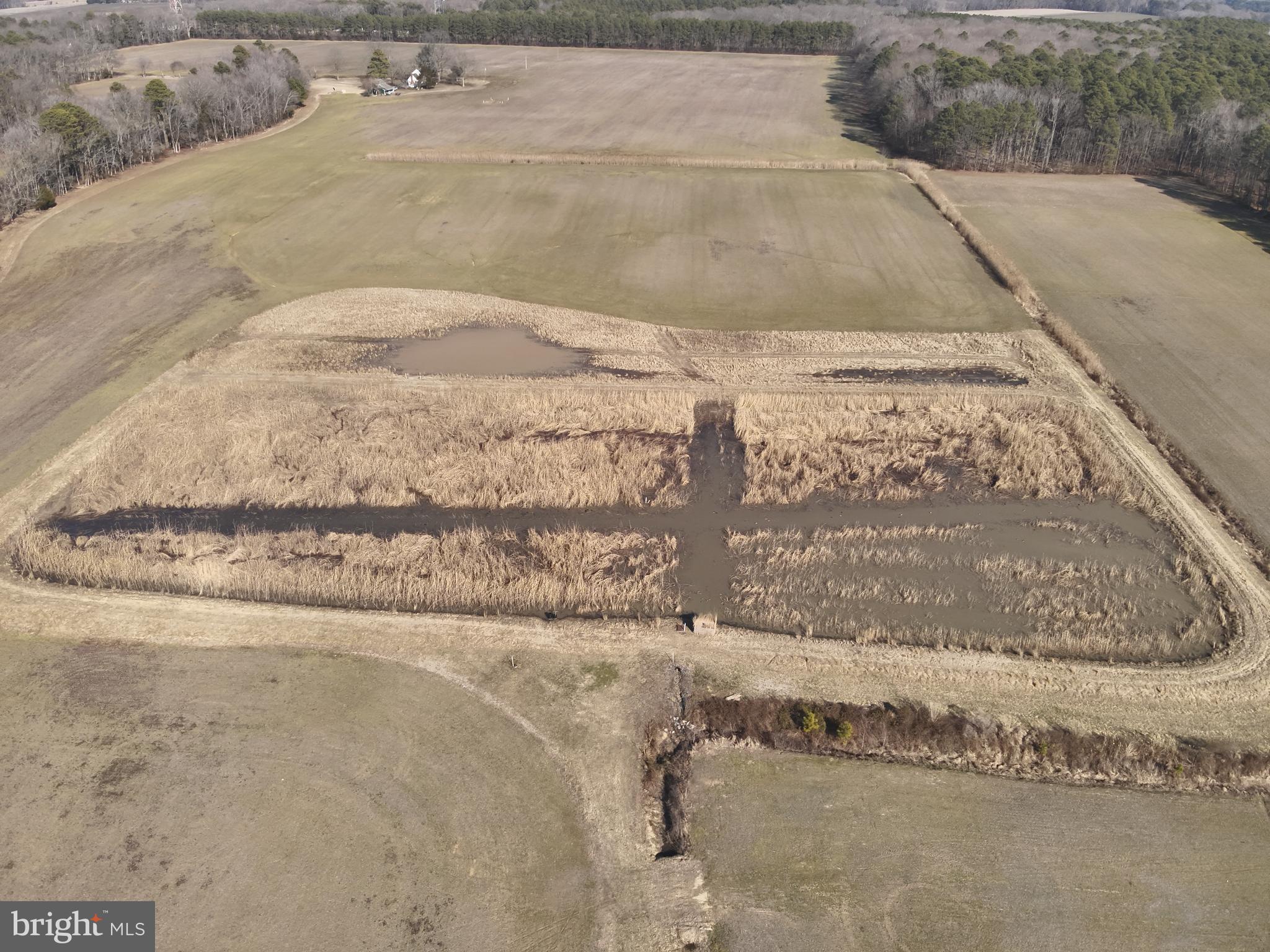 29245 Howell Point Road Trappe, MD 21673 - Photo 124 of 129