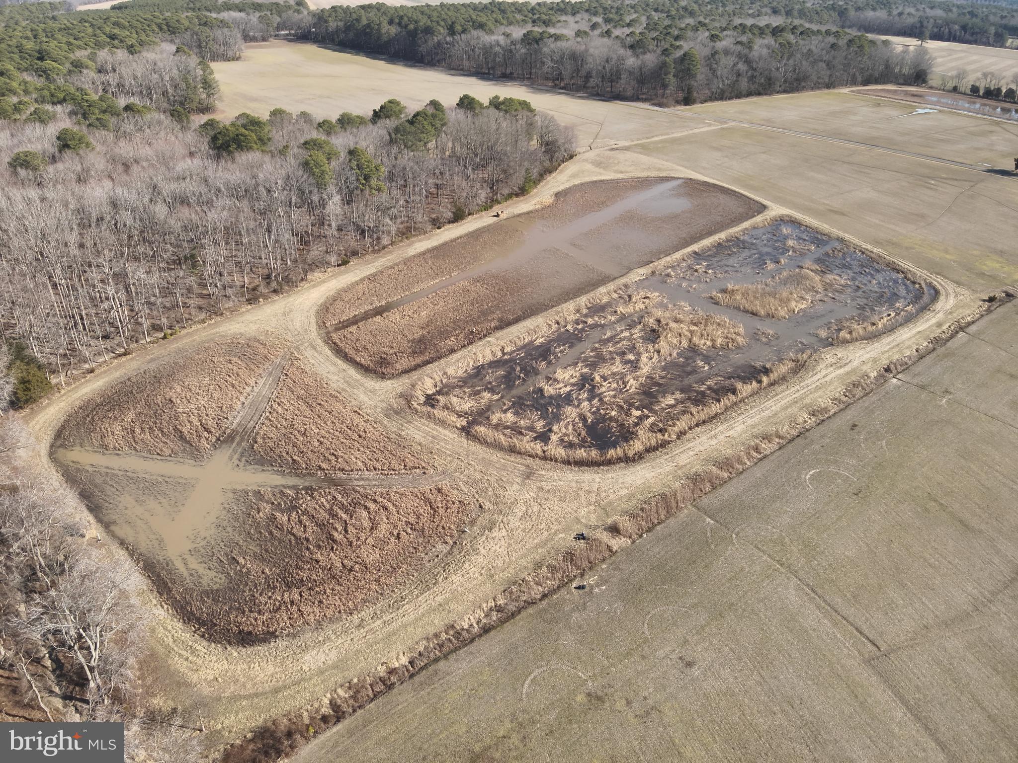 29245 Howell Point Road Trappe, MD 21673 - Photo 125 of 129