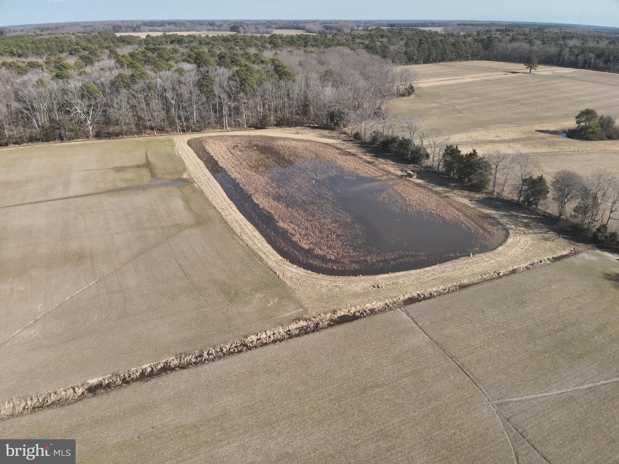 29245 Howell Point Road Trappe, MD 21673 - Photo 126 of 129