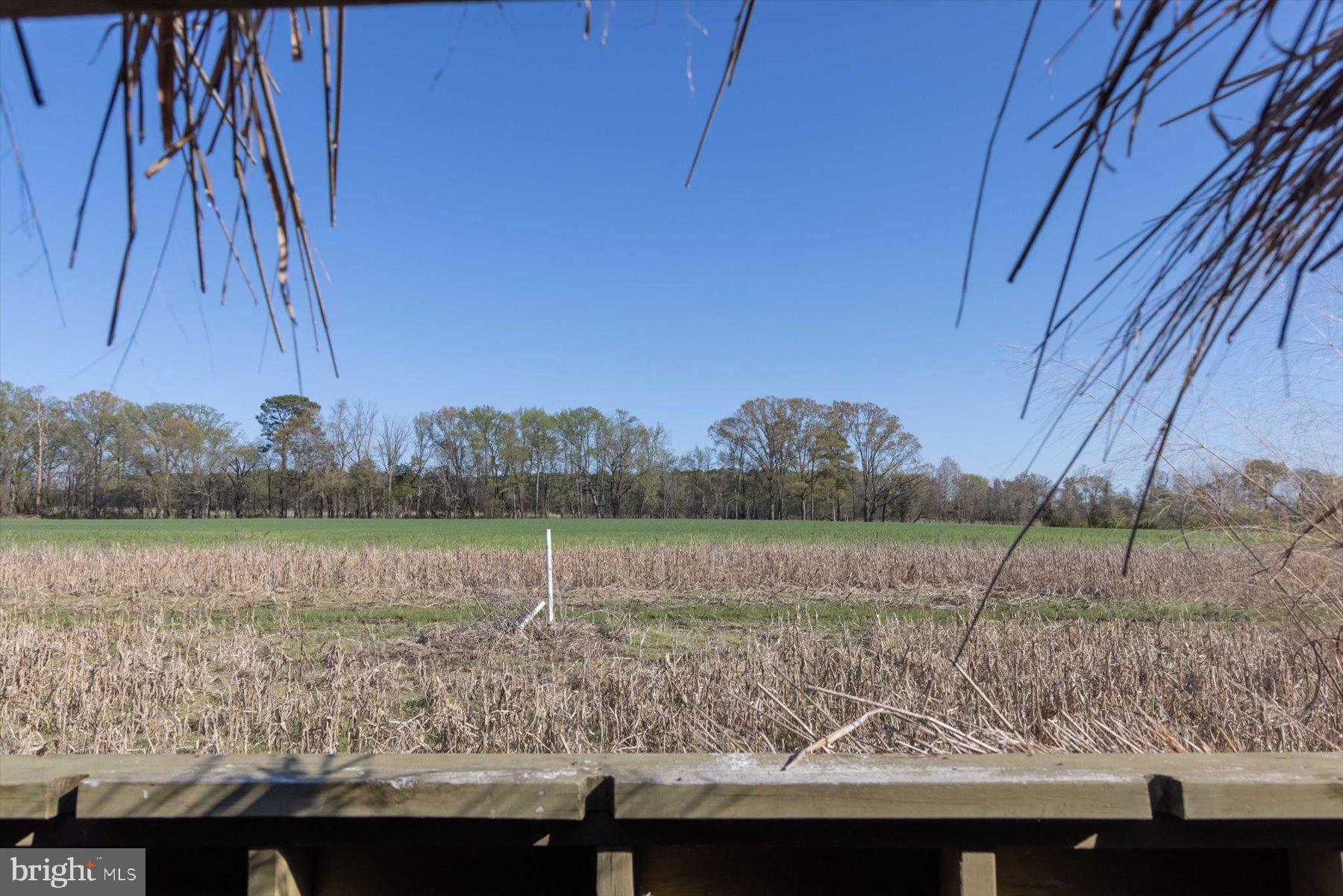 29245 Howell Point Road Trappe, MD 21673 - Photo 127 of 129