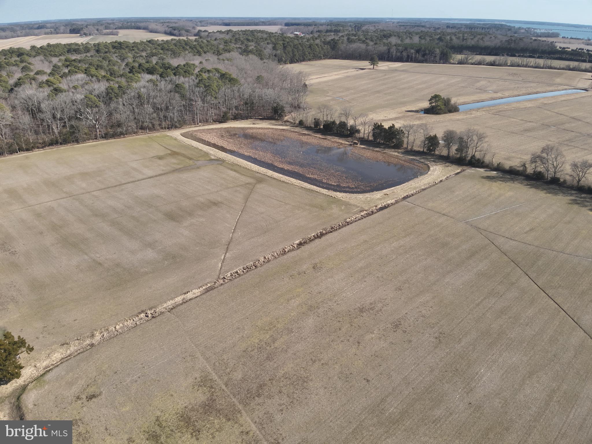 29245 Howell Point Road Trappe, MD 21673 - Photo 128 of 129