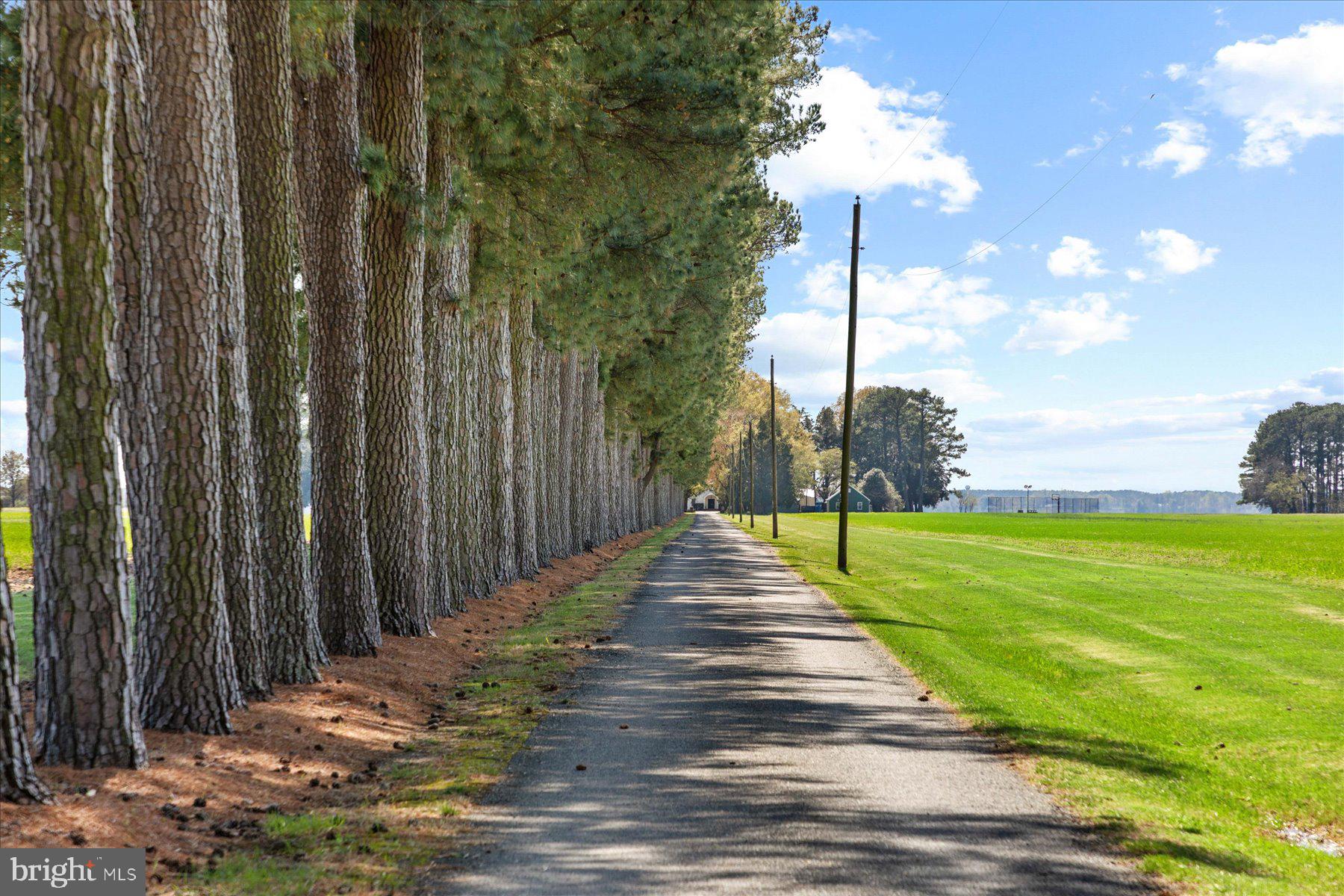 29245 Howell Point Road Trappe, MD 21673 - Photo 13 of 129