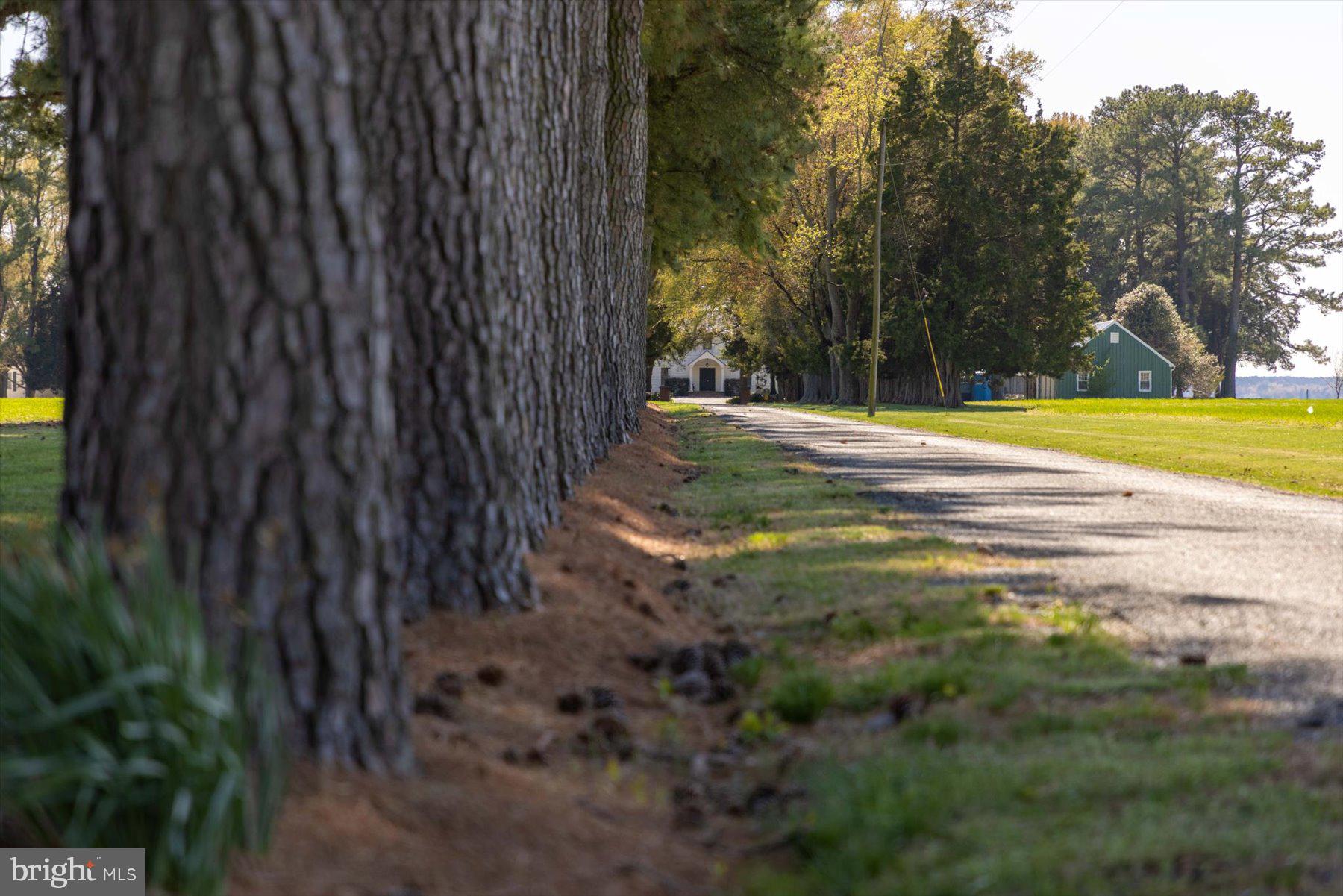 29245 Howell Point Road Trappe, MD 21673 - Photo 15 of 129