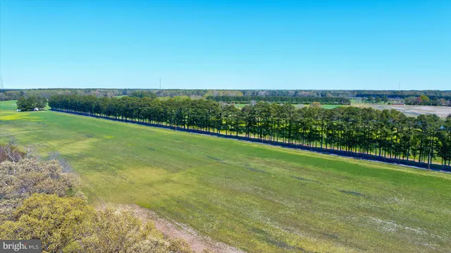 $11,000,000 | 29245 Howell Point Road, Trappe, MD 21673