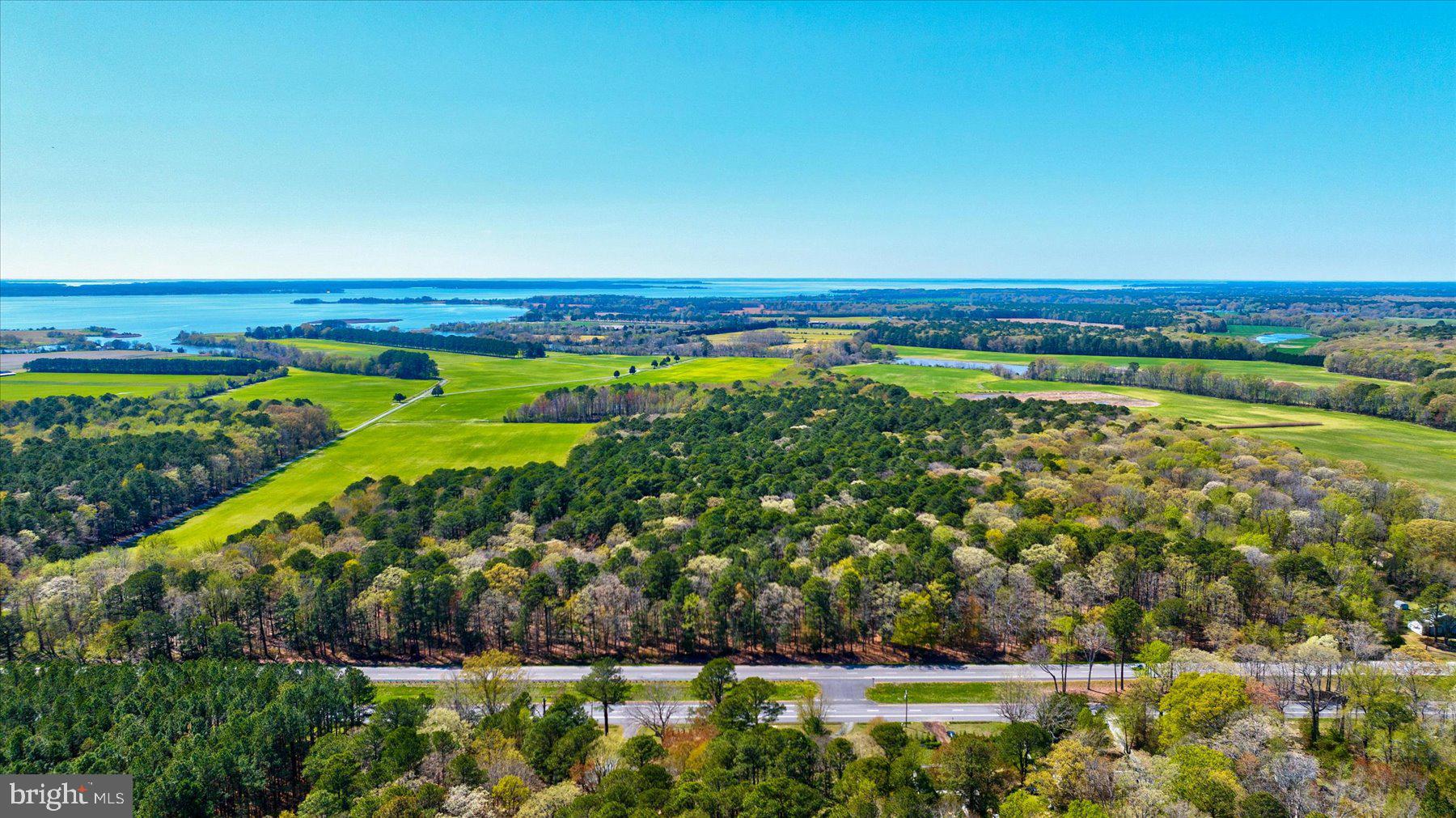 29245 Howell Point Road Trappe, MD 21673 - Photo 9 of 129