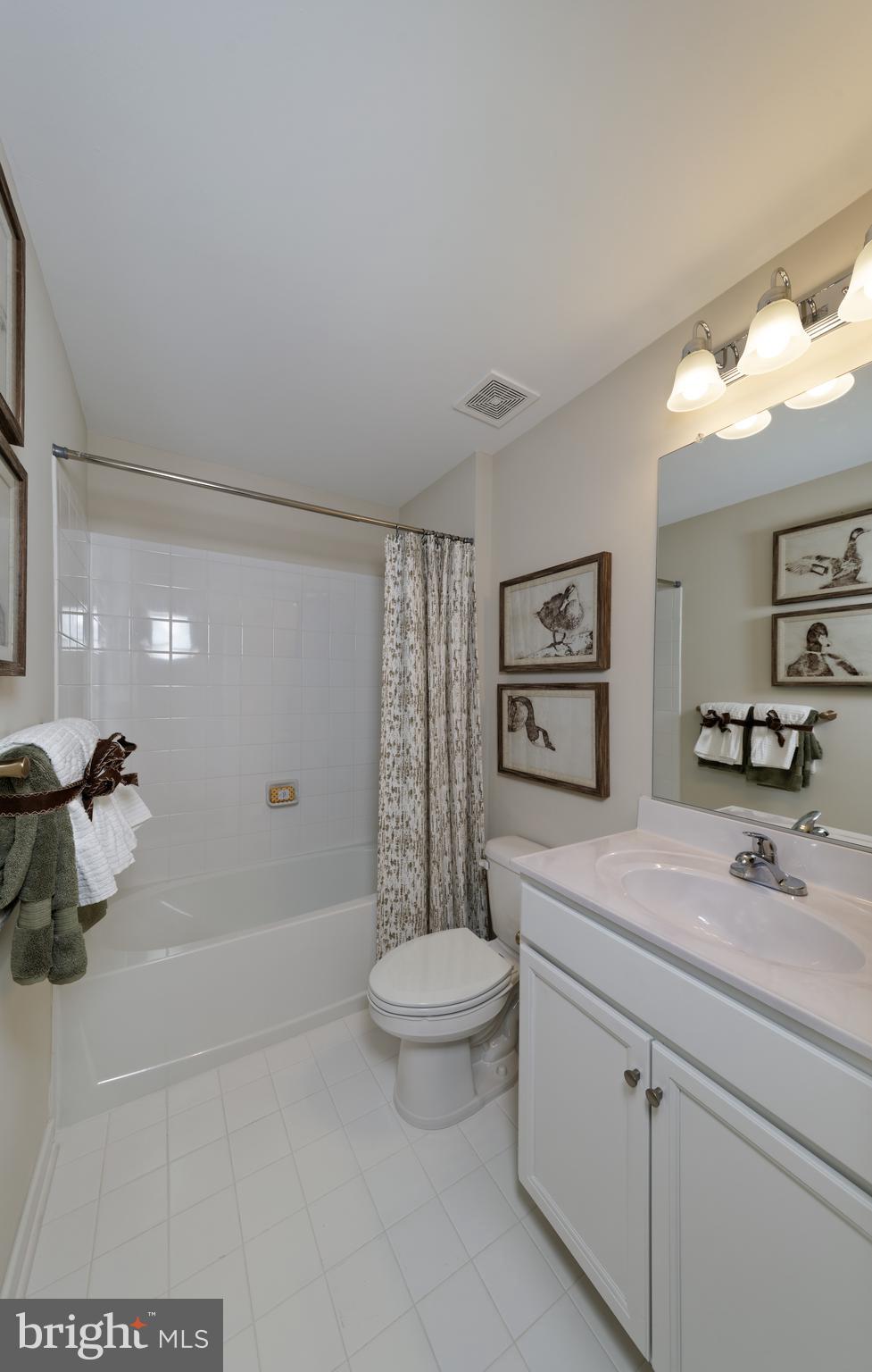 1007 Champlain Court Trappe, MD 21673 - Photo 15 of 54 a bathroom with a sink a toilet and mirror