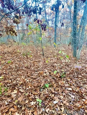 $5,000 | Lot 164 Illinois Lane, Rocky Mount, MO 65072
