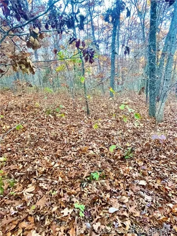 $5,000 | Lot 164 Illinois Lane, Rocky Mount, MO 65072
