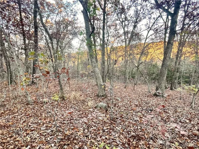 $5,000 | Lot 164 Illinois Lane, Rocky Mount, MO 65072