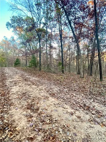 $5,000 | Lot 164 Illinois Lane, Rocky Mount, MO 65072