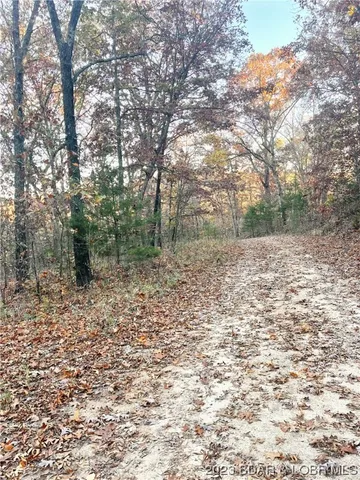 $5,000 | Lot 164 Illinois Lane, Rocky Mount, MO 65072