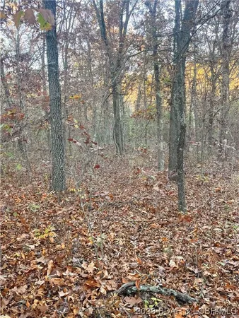 $5,000 | Lot 164 Illinois Lane, Rocky Mount, MO 65072