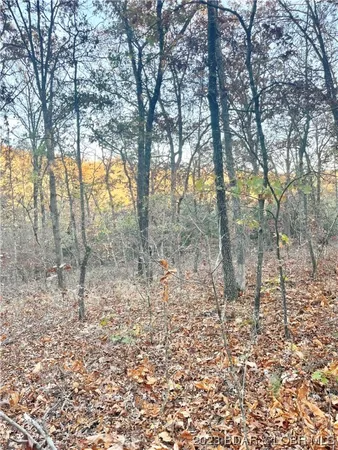 $5,000 | Lot 164 Illinois Lane, Rocky Mount, MO 65072