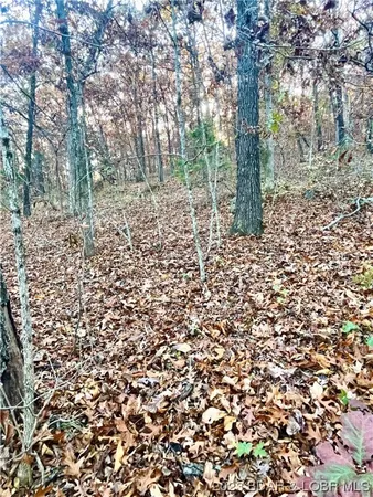 $5,000 | Lot 164 Illinois Lane, Rocky Mount, MO 65072