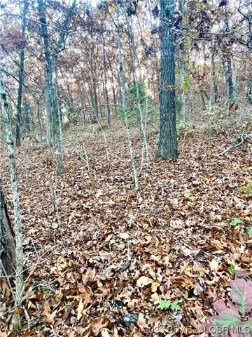 $5,000 | Lot 164 Illinois Lane, Rocky Mount, MO 65072