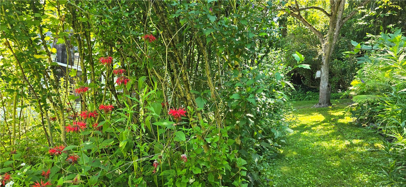 2789 Bailey Creek Road Corning, NY 14830 - Photo 26 of 26