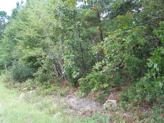 2 Connector Road Graniteville, SC 29829 - Photo 1 of 3 Main View