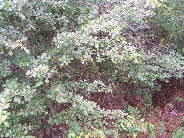 2 Connector Road Graniteville, SC 29829 - Photo 3 of 3
