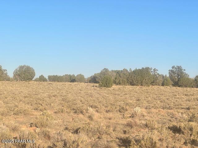 349- Rocky Top Road Seligman, AZ 86337 - Photo 4 of 10 IMG_9219