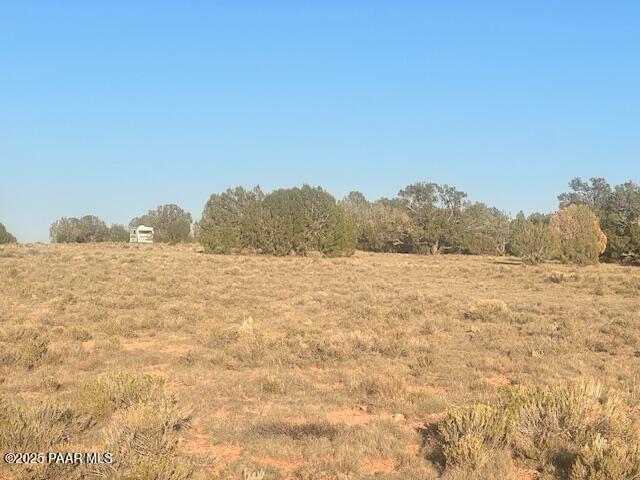349- Rocky Top Road Seligman, AZ 86337 - Photo 5 of 10 IMG_9220