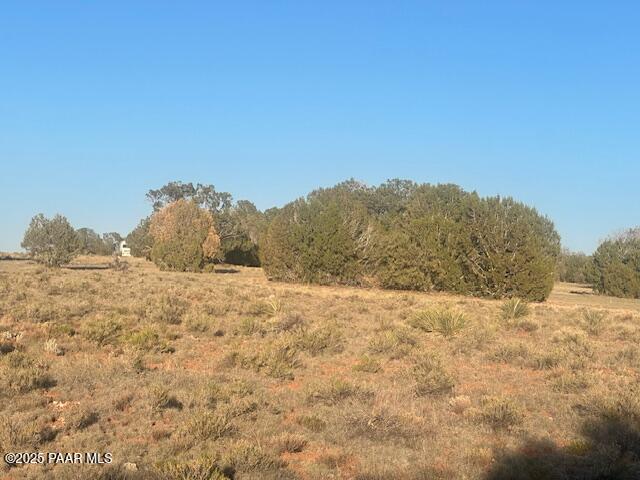 349- Rocky Top Road Seligman, AZ 86337 - Photo 6 of 10 IMG_9221
