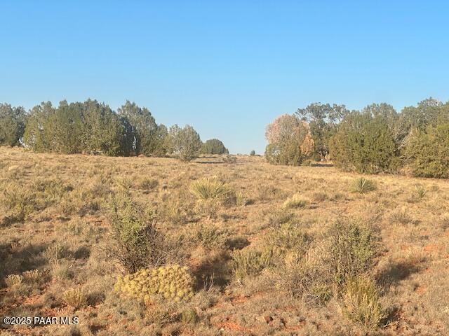 349- Rocky Top Road Seligman, AZ 86337 - Photo 7 of 10 IMG_9222
