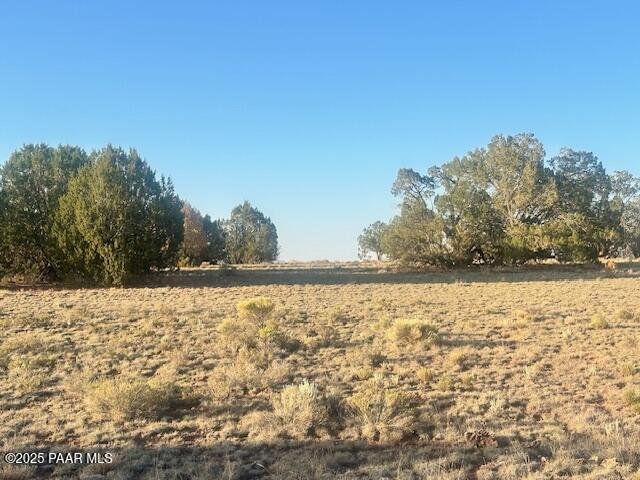 349- Rocky Top Road Seligman, AZ 86337 - Photo 8 of 10 IMG_9224