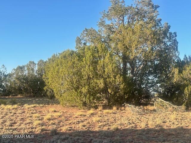 349- Rocky Top Road Seligman, AZ 86337 - Photo 9 of 10 IMG_9225