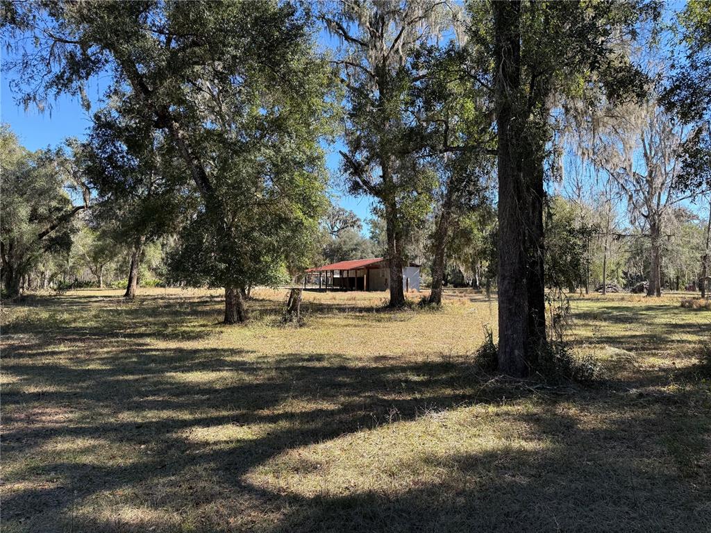 18630 Bradshaw Road Dade City, FL 33523 - Photo 21 of 43 a view of a tree with a yard