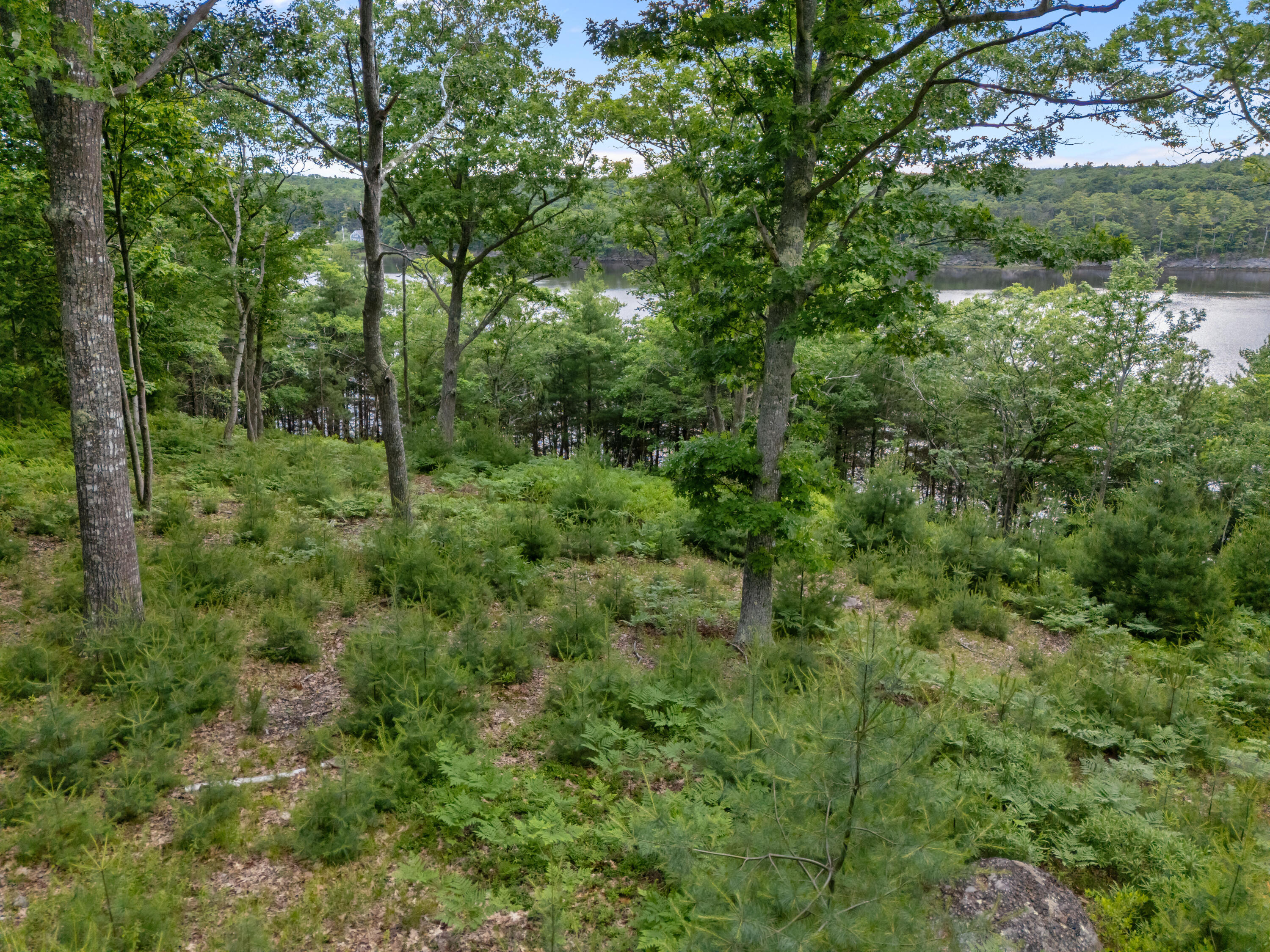 Lot 16 Captain John Parker Road Phippsburg, ME 04562 - Photo 26 of 29 DJI_20260619181303_0407_D