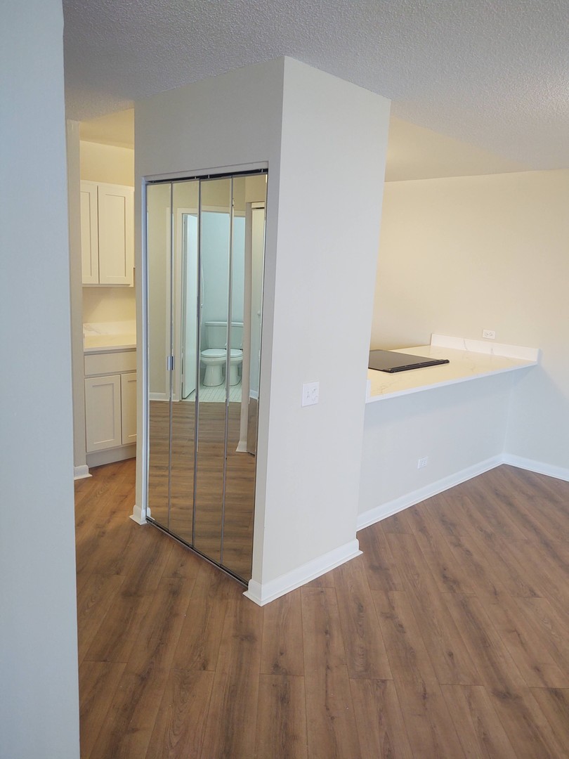 5320 North Sheridan Road, Unit 407 Chicago, IL 60640 - Photo 10 of 26 an empty room with wooden floor and door