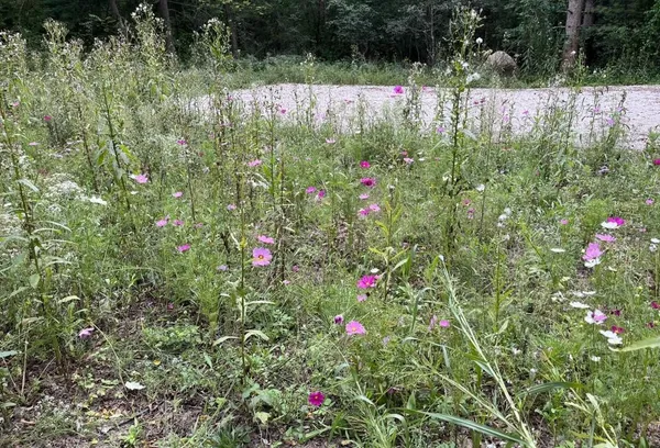 $51,489 | Evergreen Drive, Unit 25, Wautoma, WI 54982