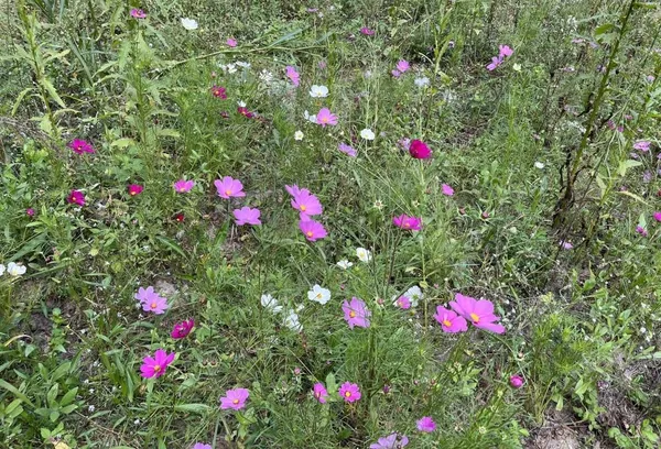 $51,489 | Evergreen Drive, Unit 25, Wautoma, WI 54982