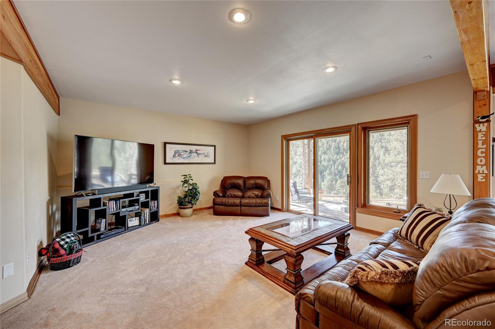 27164 Sun Ridge Drive Evergreen, CO 80439 - Photo 28 of 40 a living room with furniture a flat screen tv and floor to ceiling window