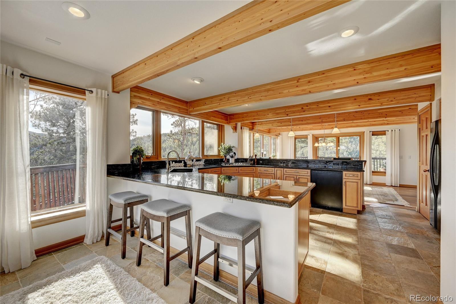 27164 Sun Ridge Drive Evergreen, CO 80439 - Photo 6 of 40 a dining hall with stainless steel appliances granite countertop furniture and a fireplace