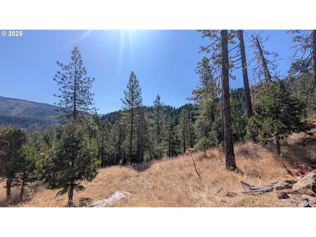 a outdoor space with lots of plants