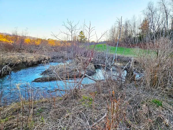 $95,000 | Lot 13 Paradis Lane, Enosburg Falls, VT 05450