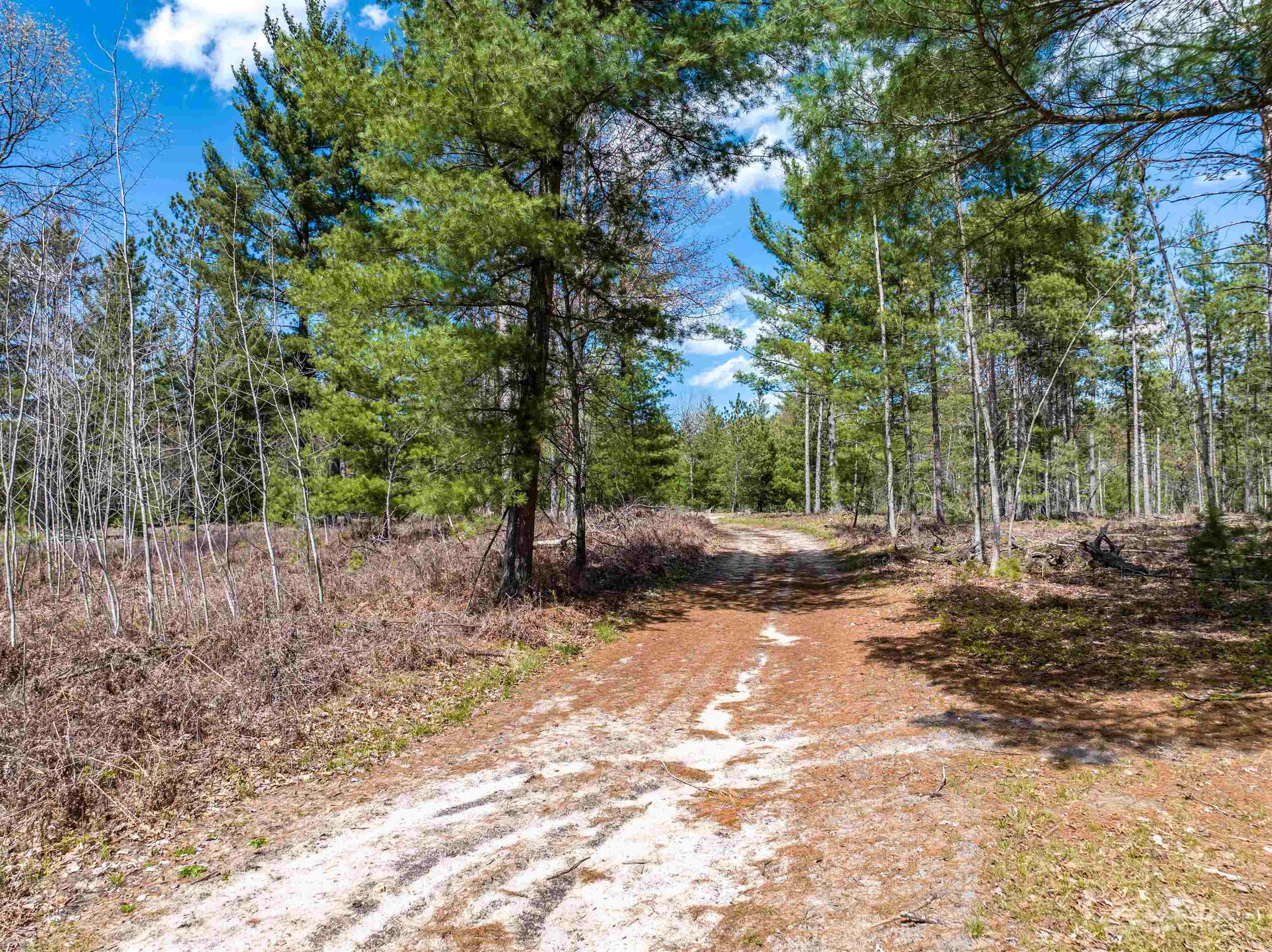 0 Seder Road Alger, MI 48610 - Photo 10 of 13